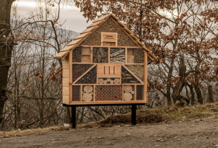 Small backyard chicken coop built for suburban lots and limited space